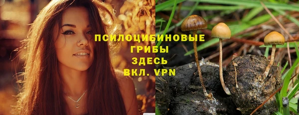Альфа ПВП Краснослободск